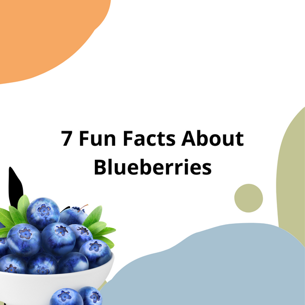 7 Fun Facts About Blueberries – Laumière Gourmet Fruits