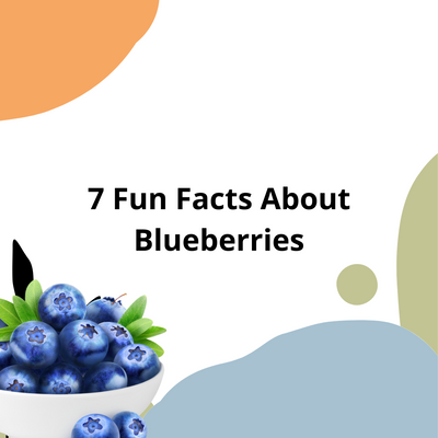 7 Fun Facts About Blueberries