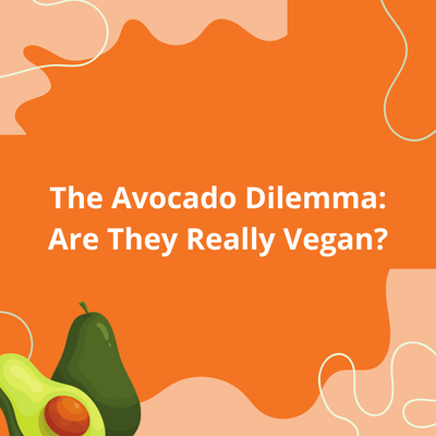 The Avocado Dilemma: Are They Really Vegan?