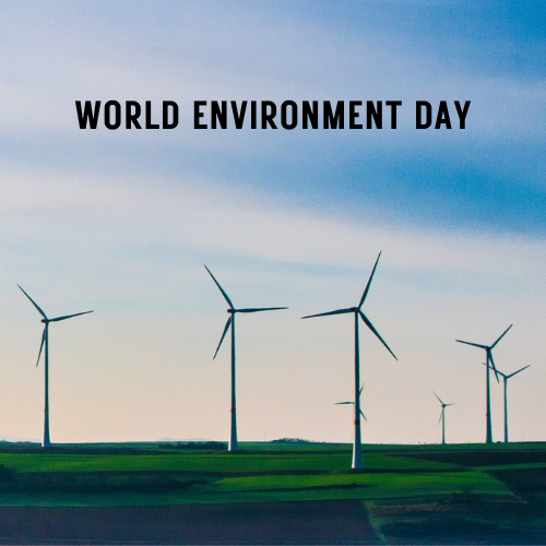 Celebrating World Environment Day – Laumière Gourmet Fruits