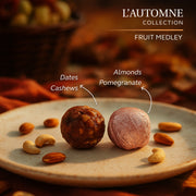 L'Automne Collection - Square