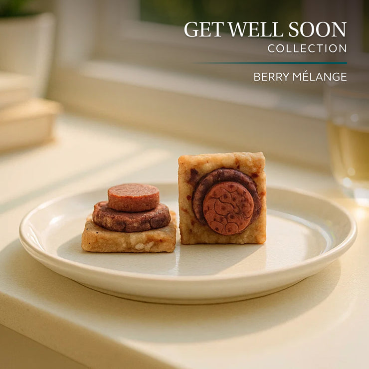 Get Well Soon Collection - Square